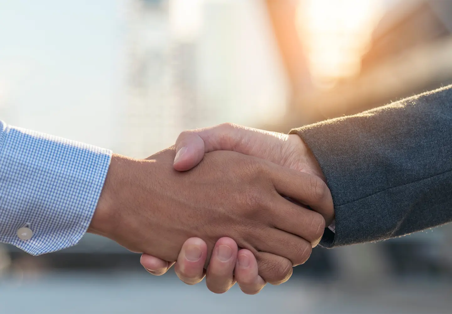 Two people shaking hands.
